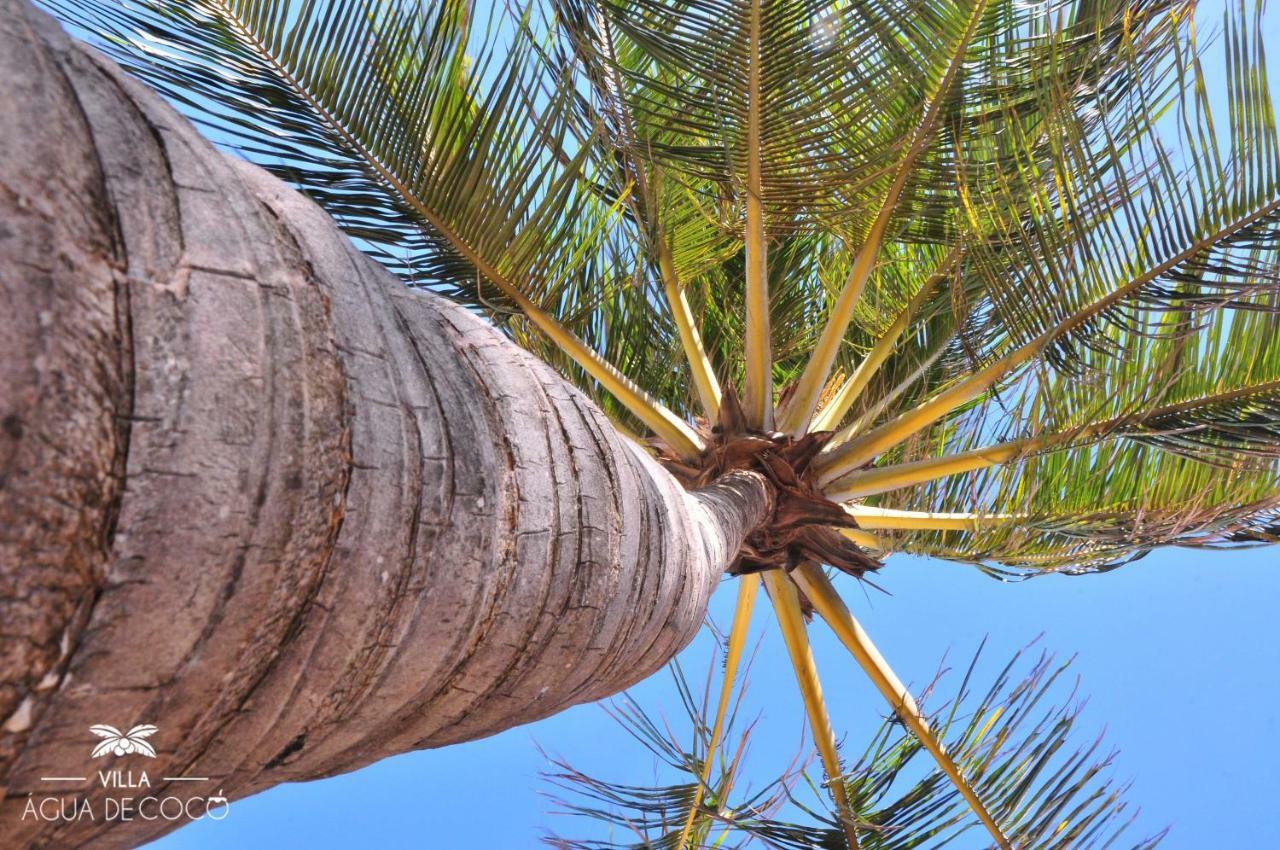 Villa Agua De Coco Jijoca de Jericoacoara Kültér fotó